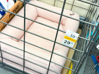 petco-clearance-deals-pet-bed