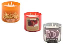 Pumpkin Spice Cake 3-Wick Candle