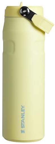 STANLEY Water Bottle