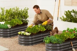 Score Garden Beds for Just $38 at Target (Over 60% Off) card image