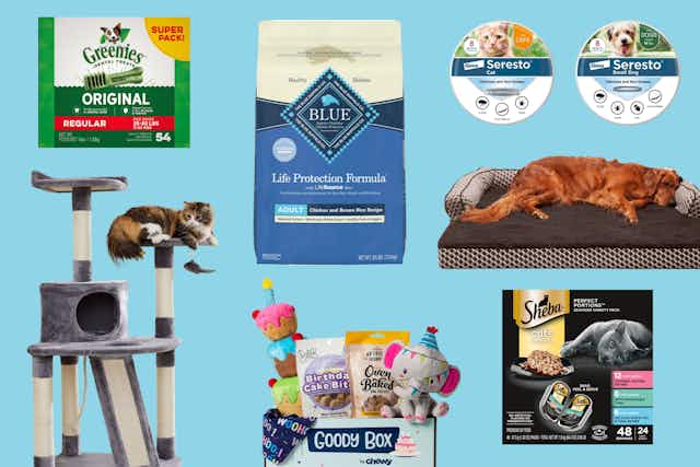 Top 10 Best Deals You Can Find at Chewy for National Pet Day card image