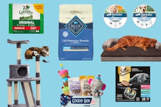 Chewy Sponsored Brand Feature Image For National Pet Day