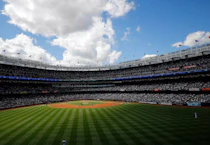 New York Yankees Ticket