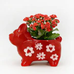 Valentine's Day Frenchie Planter