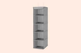5-Section Hanging Closet Organizer, Just $8.47 on Amazon card image