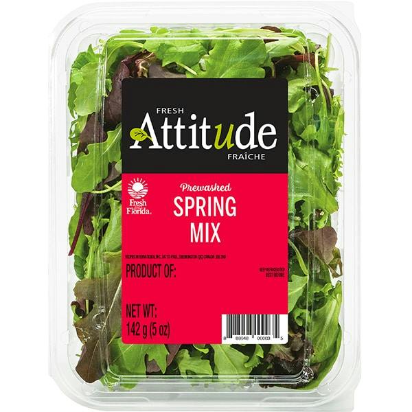 2 Spring Mix Salads