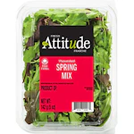 2 Spring Mix Salads