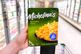 publix-michelinas-frozen-meals