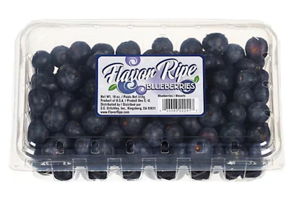 Fresh Blueberries