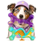 Dog Chew Toys 2-Pack