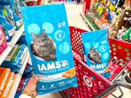 Target iams cat food