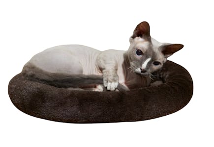 Frisco Self-Warming Bolser Kitten Bed