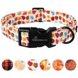 Dog Collar