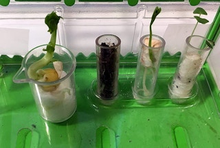 amazon tiny gardening kit 2022 2 1656008760 1656008760