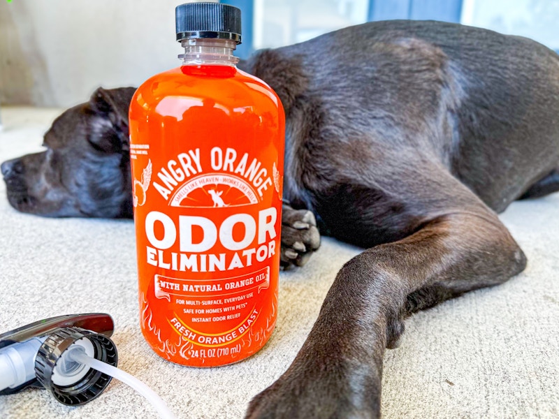 amazon-pet-day-angry-orange-odor-eliminator-5