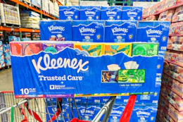 costco-kleenex