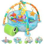 Baby Gym and Play Mat