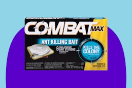 Combat Max Ant Bait Station 6-Pack, as Low as $4.22 on Amazon card image