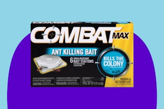 Combat max ant baits on blue KCL template