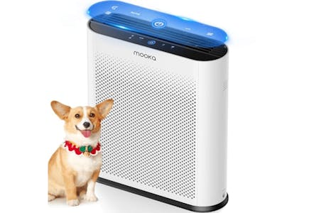 Air Purifier