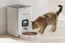 Automatic Cat Feeder
