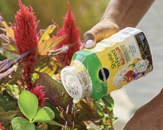 a person putting plant food on plants