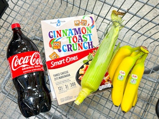 food-lion-groceries-4