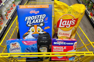 dollar general groceries in a shopping cart