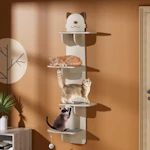 Cat Shelves
