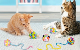 cats playing with yarn balls 