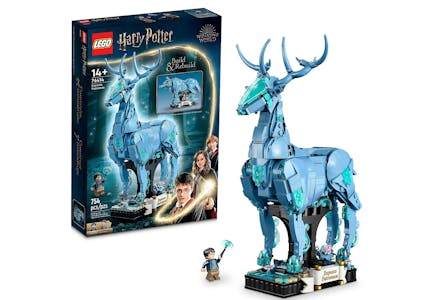 Lego Harry Potter Set