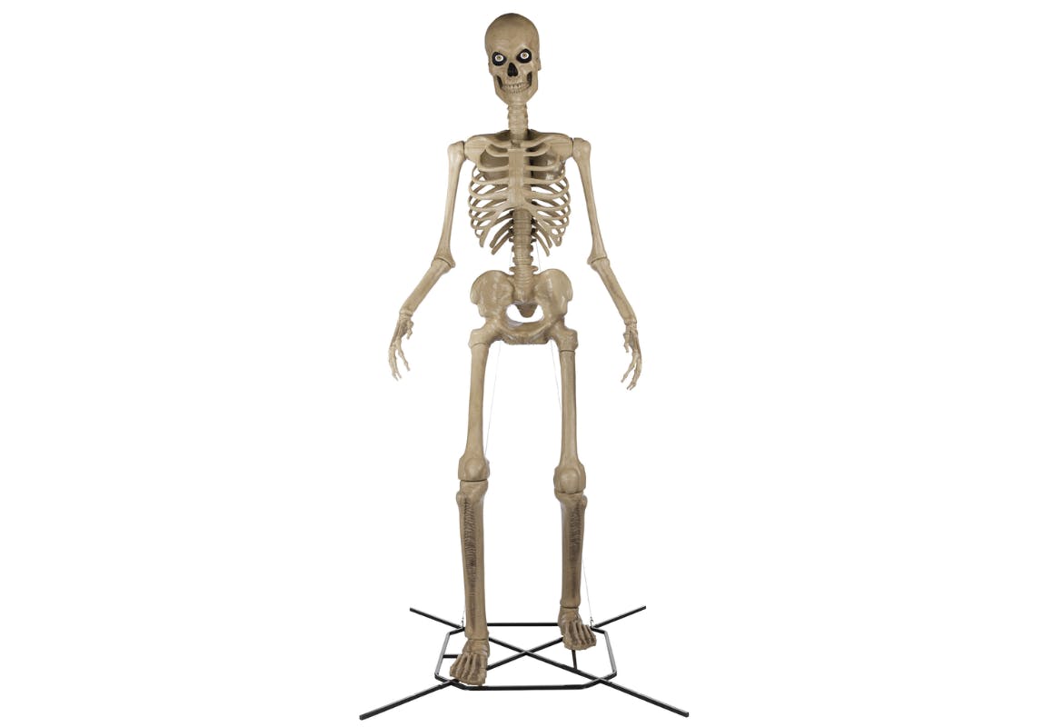 12-Foot Skelly