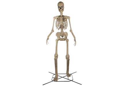 12-Foot Skelly