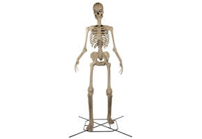 12-Foot Skelly