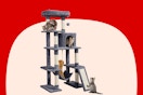 amazon cat tree