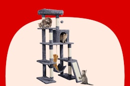 amazon cat tree