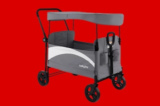 2-seat stroller wagon and cart with canopy