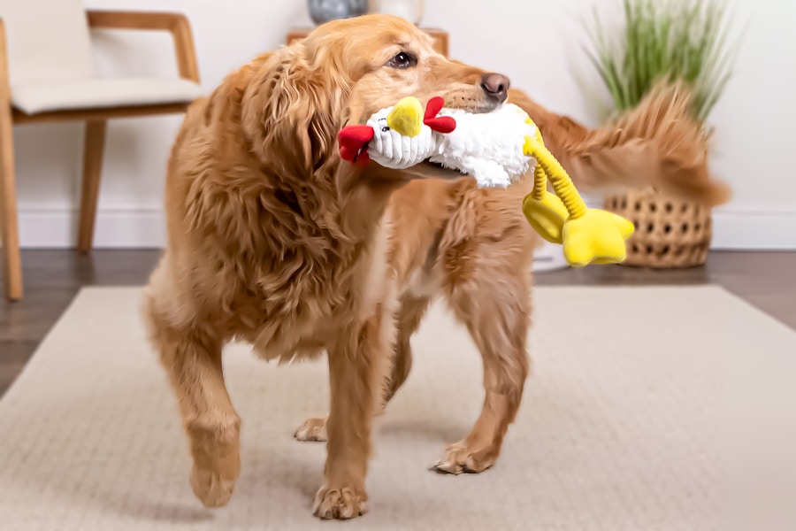walmart-TrustyPup-dog-toy-kcl-1