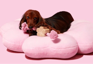 walmart plush dog bed screenshot