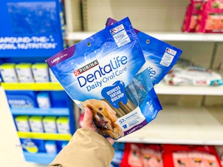 hand holding 2 purina dentalife dog treats at target