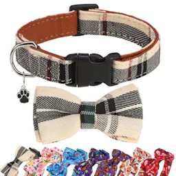 Dog Collar with Bow Tie