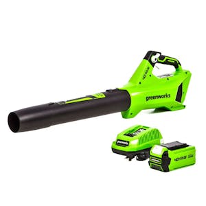 Greenworks Blower Set