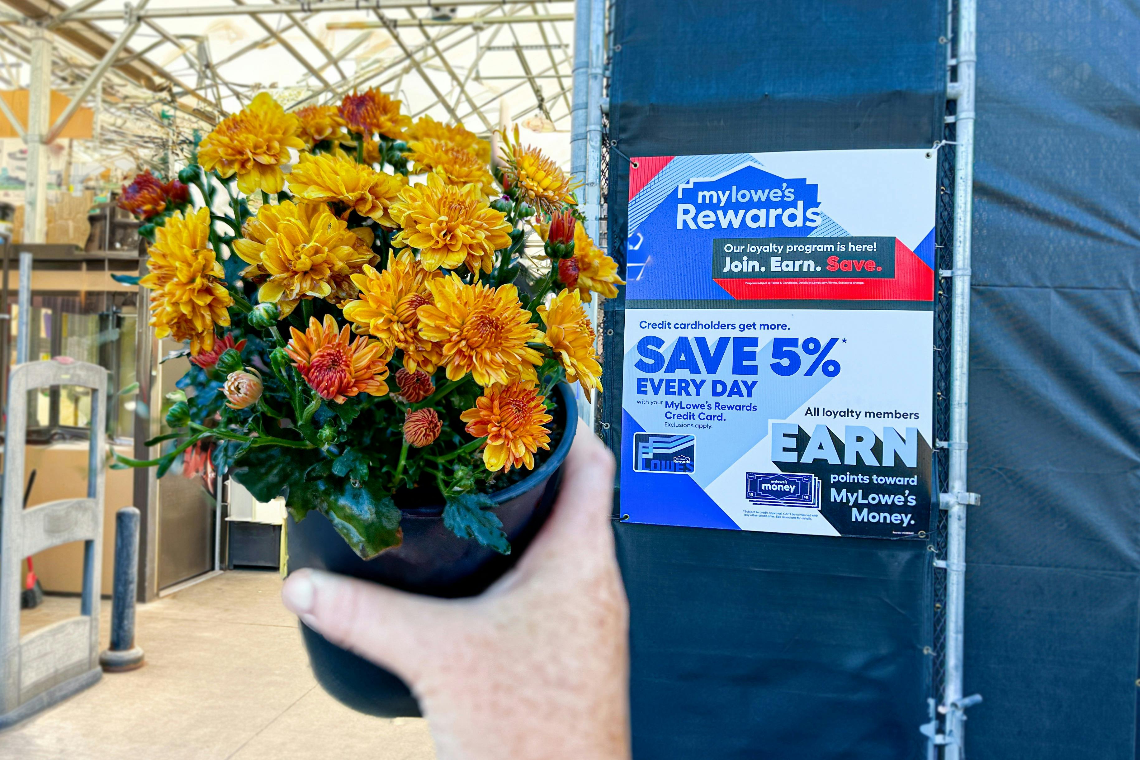 Lowe's Fall Flower Giveaway Reserve Now for Your Free Fall Flower at