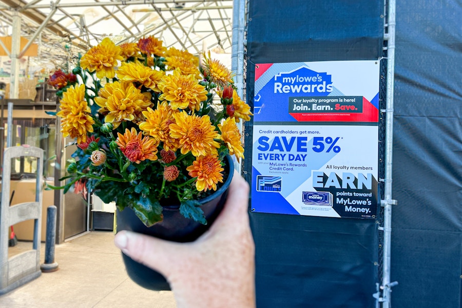 lowes-free-rewards-member-flower-mum