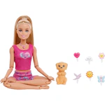 Barbie Mindful Moves Doll