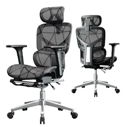 Ergonomic Office Chair