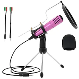 Computer Microphone