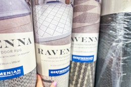 Costco Price Drop: The Ravenna Indoor/Outdoor Rug Is Now $20 Off card image