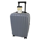 Visionair Hardside Luggage