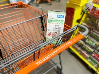 home depot back to the roots kit a 2021 1620500138 1620500139
